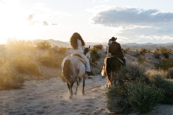 Joshua Tree: Horseback Trail Riding Adventure With a Guide - Safety and Accessibility Considerations