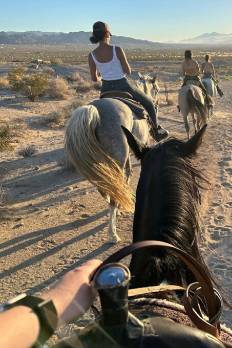 Joshua Tree: Horseback Trail Riding Adventure With a Guide - Preparing for Your Horseback Adventure