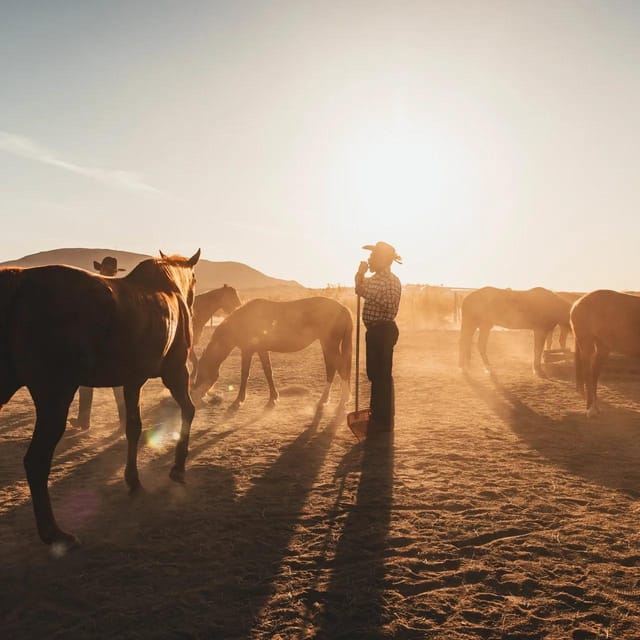 Joshua Tree: Horseback Trail Riding Adventure With a Guide - Frequently Asked Questions