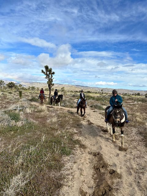 Joshua Tree National Park: 3 Hr Guided Horseback Ride - Key Points
