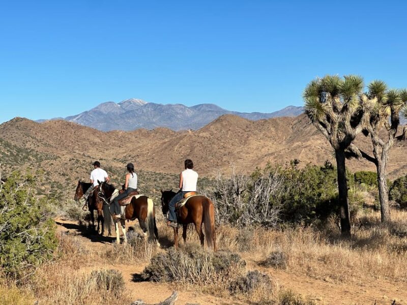 Joshua Tree National Park: 3 Hr Guided Horseback Ride - Booking Information