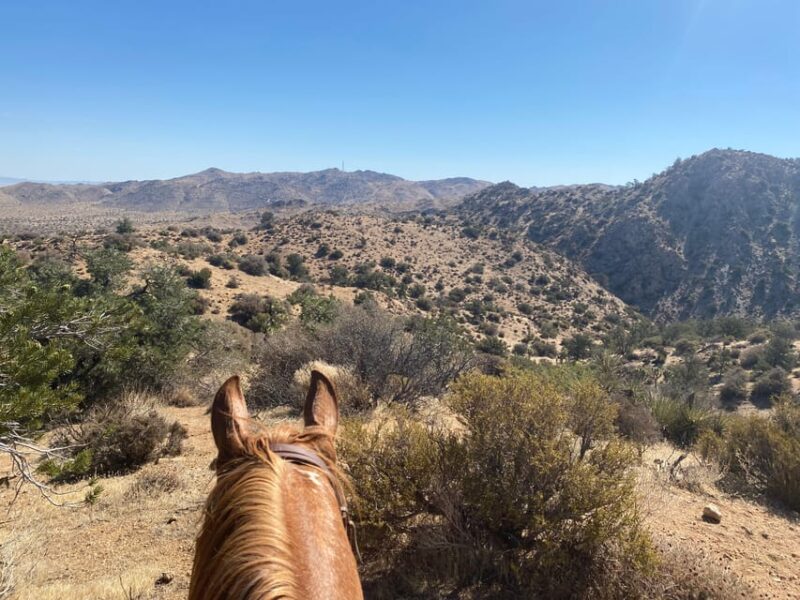 Joshua Tree National Park: 3 Hr Guided Horseback Ride - Inclusions