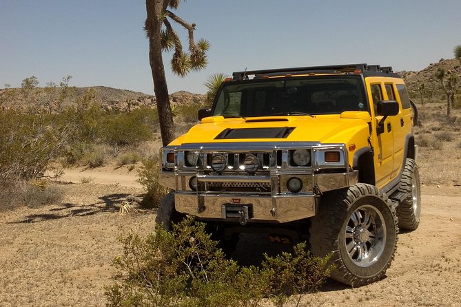 Joshua Tree National Park Air-Conditioned Tour - Inclusions and Amenities