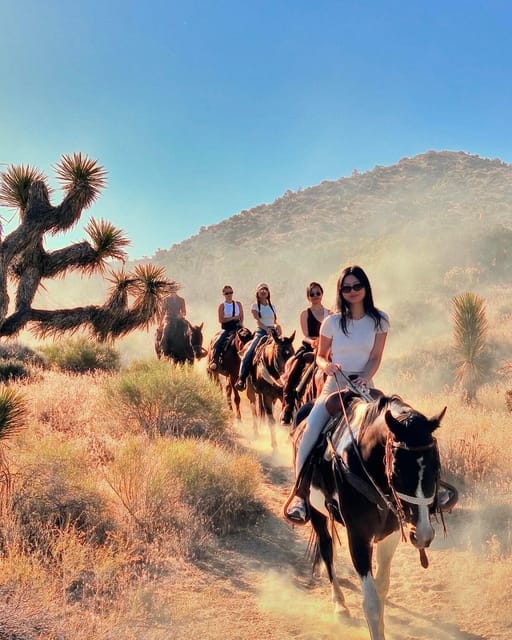 Joshua Tree National Park Horseback Ride - Key Points