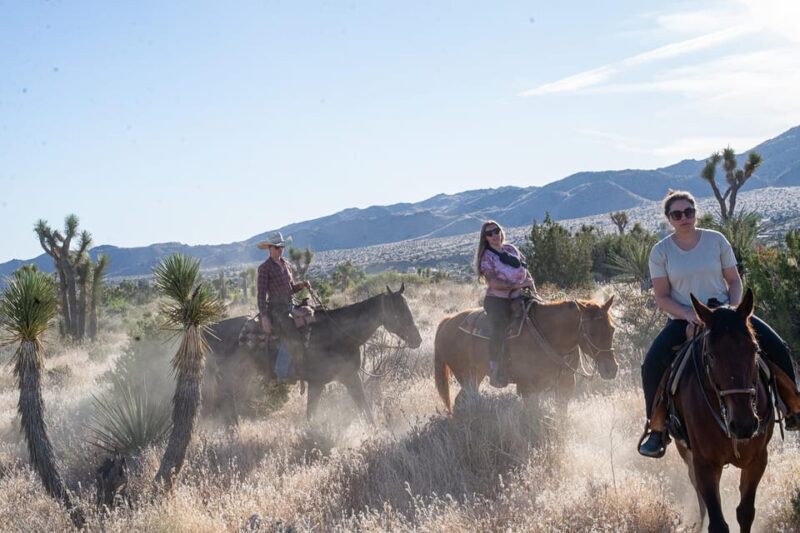 Joshua Tree National Park Horseback Ride - Horsemanship Basics: From Grooming to Riding