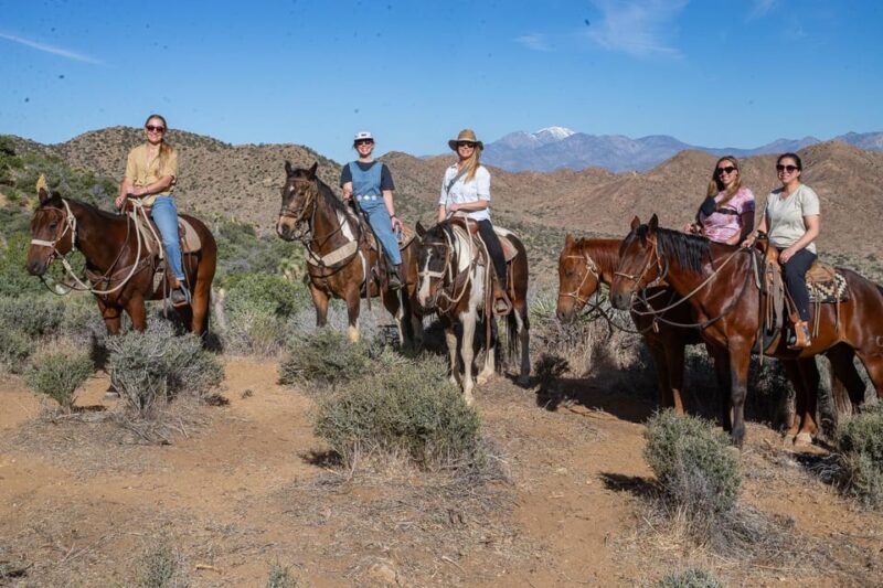 Joshua Tree National Park Horseback Ride - Scenic Views and Wildlife Encounters