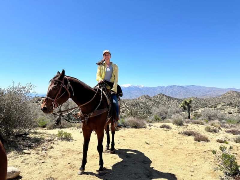 Joshua Tree National Park Horseback Ride - Guided Tour Itinerary and Safety Briefing