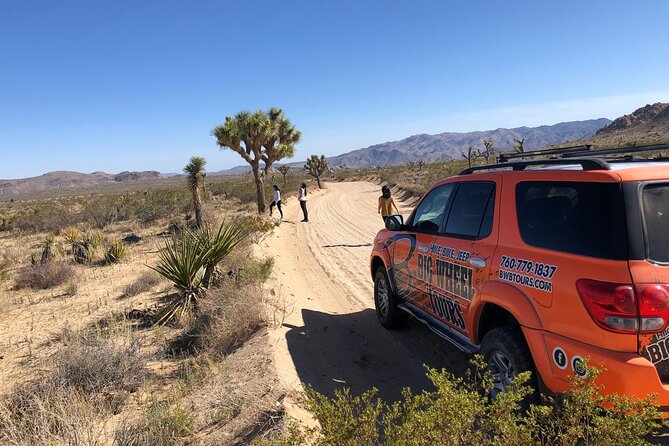 Joshua Tree National Park Offroad Tour - Park Exploration
