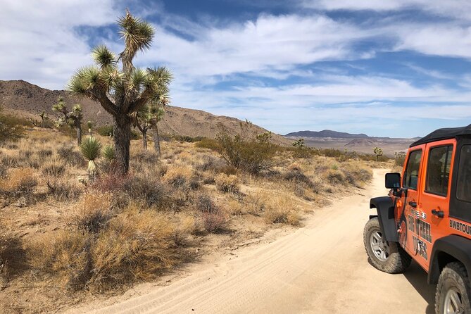 Joshua Tree National Park Offroad Tour - Kid-Friendly Adventure