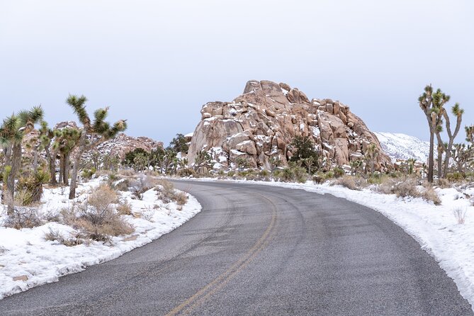 Joshua Tree National Park Self-Driving Audio Tour - Exploring Joshua Trees Landscapes
