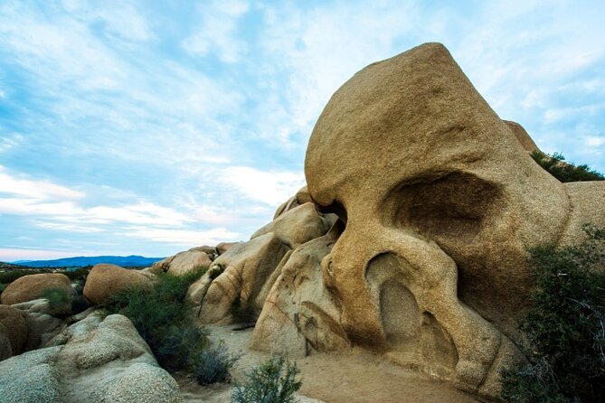 Joshua Tree National Park Self-Guided Driving Tour - Hiking Trails and Outdoor Activities