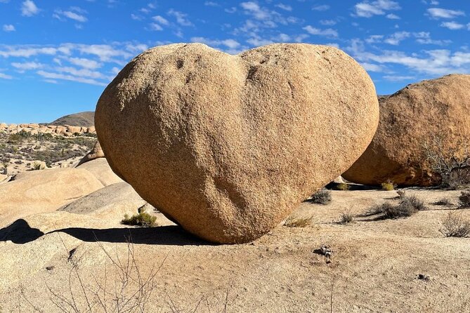Joshua Tree National Park Self-Guided Driving Tour - Photographic Opportunities Across the Park