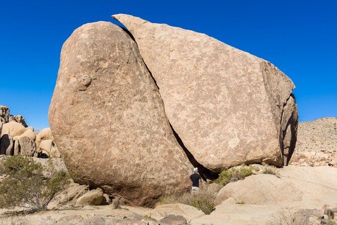 Joshua Tree National Park Self-Guided Driving Tour - Preparing for Your Self-Guided Adventure