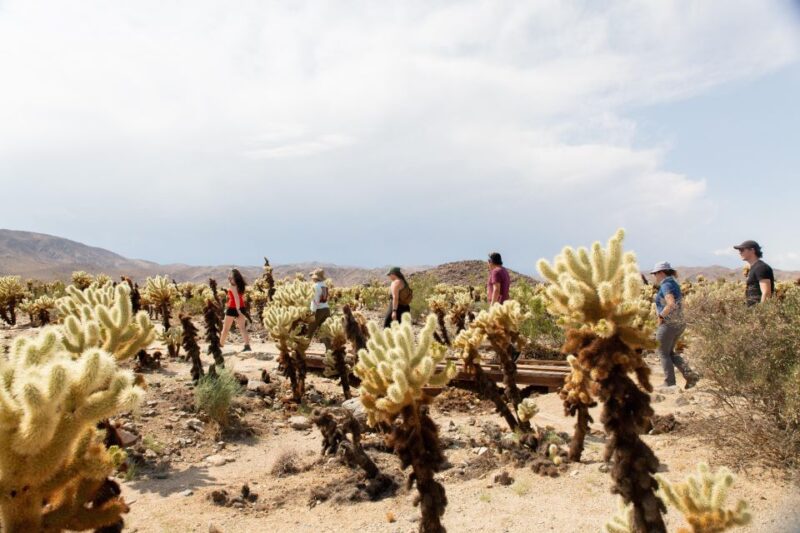 Joshua Tree National Park: Tour and Hike - Inclusions in the Tour