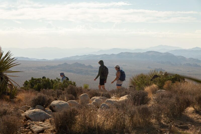 Joshua Tree NP: Sunrise or Sunset Tour - Sunset Tour Experience