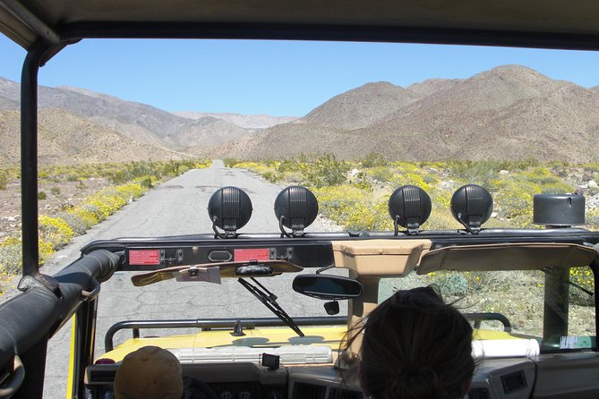 Joshua Tree Open Air Hummer Adventure - Spotting Diverse Wildlife