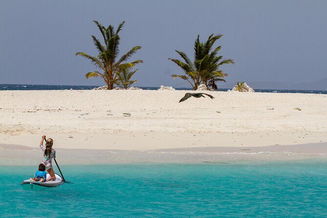 Jost Van Dyke - Soggy Dollar & Sandy Spit Sailing Tour in the BVI - An In-Depth Look at the Experience