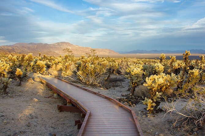 Journey Into Joshua Tree Audio Tour and Locals Guide - Customer Reviews and Ratings