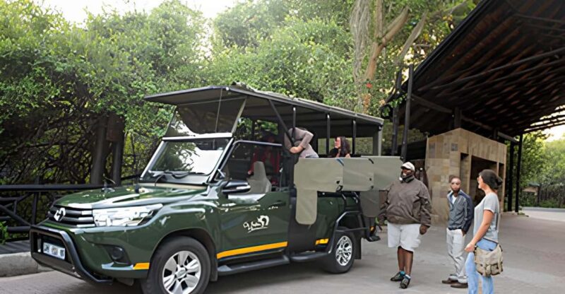 Journey Through Kruger - Game Drives and Wildlife