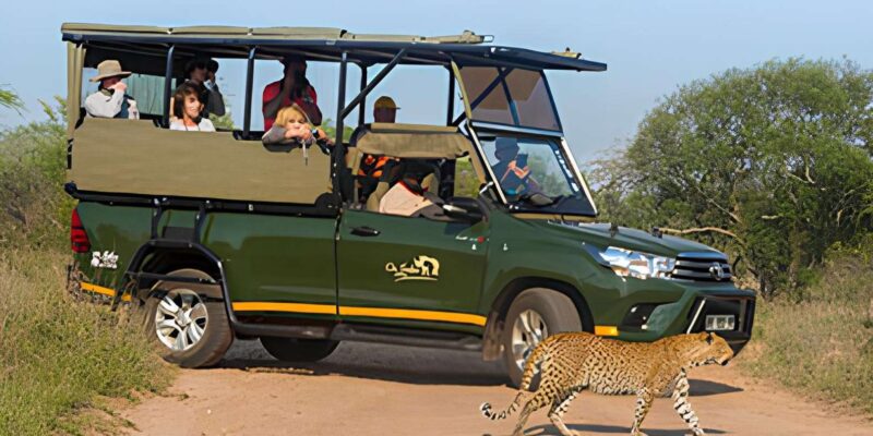 Journey Through Kruger - Accommodation and Meals