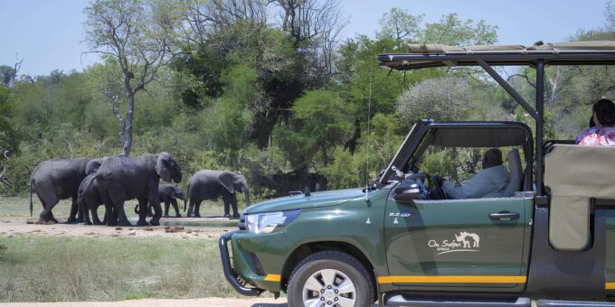Journey Through Kruger - Frequently Asked Questions