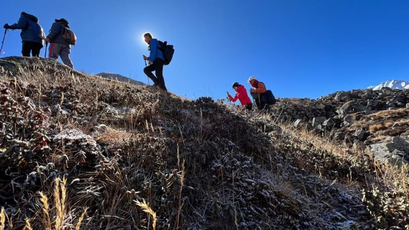 Journey Through Langtang: a 6-Day Trek With Meals - Key Points