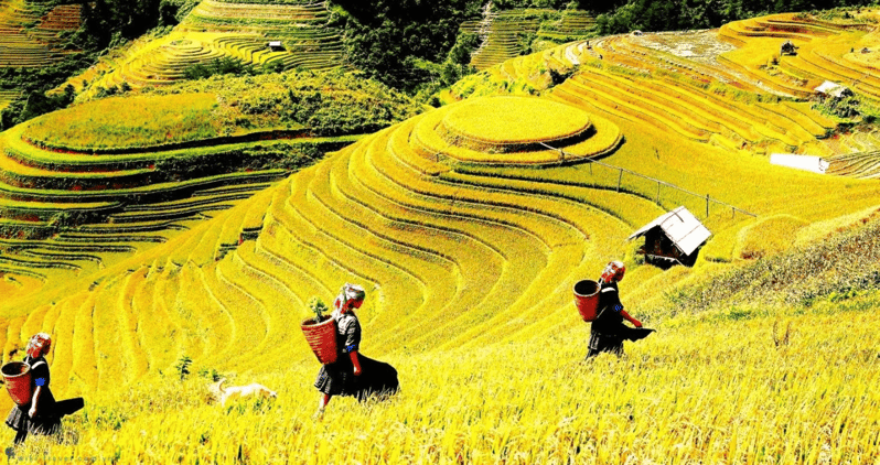 Journey Through Sapa Terraces & Traditions - Cultural Experience