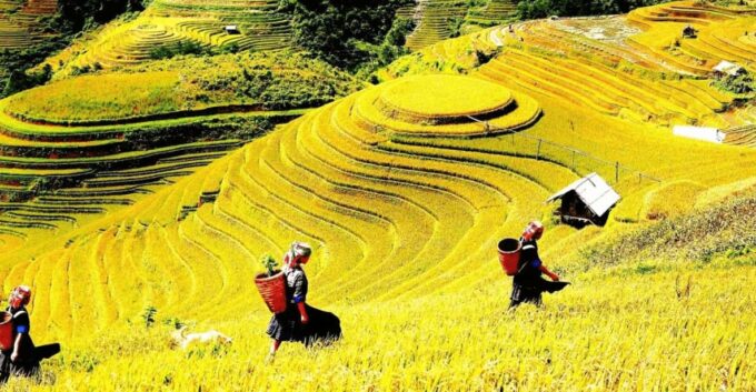 Journey Through Sapa Terraces & Traditions - About the Destination