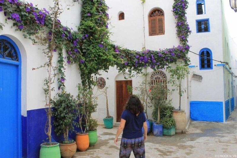 Journey Through Time: Full-Day Escape to Tangier and Assilah - Inclusions and Additional Information