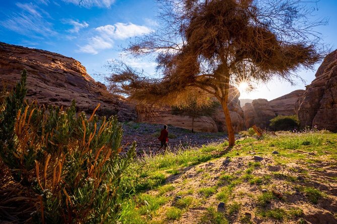 Journey Through Time Hike - Inclusions and Logistics
