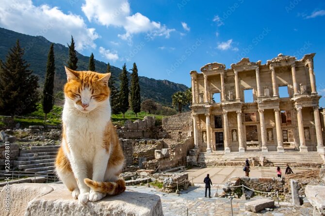 Journey to Ancient Wonders: Explore Ephesus With a Private Tour - Additional Information