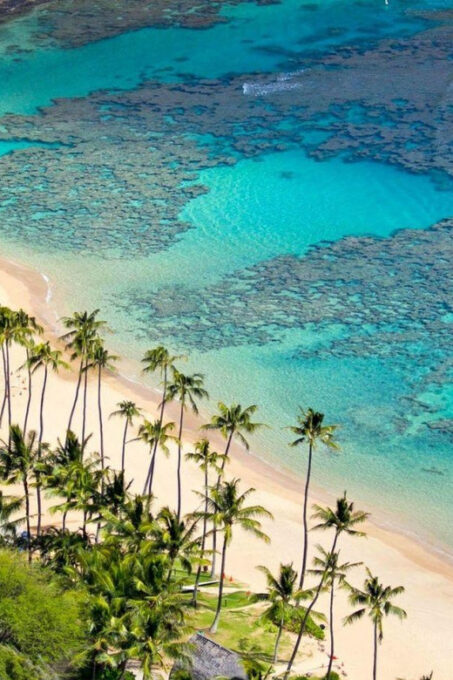 Journey to Cham Island: Explore, Snorkel, and Indulge - Snorkeling Adventure