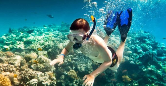 Journey to Cham Island: Explore, Snorkel, and Indulge - Delectable Lunch Experience