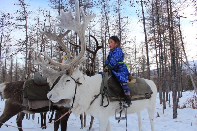 Journey to the Tsaatan Reindeer Herders Tribe of Mongolia - Key Points