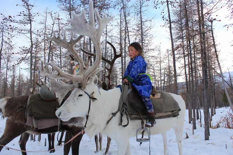 Journey to the Tsaatan Reindeer Herders Tribe of Mongolia - Itinerary Breakdown