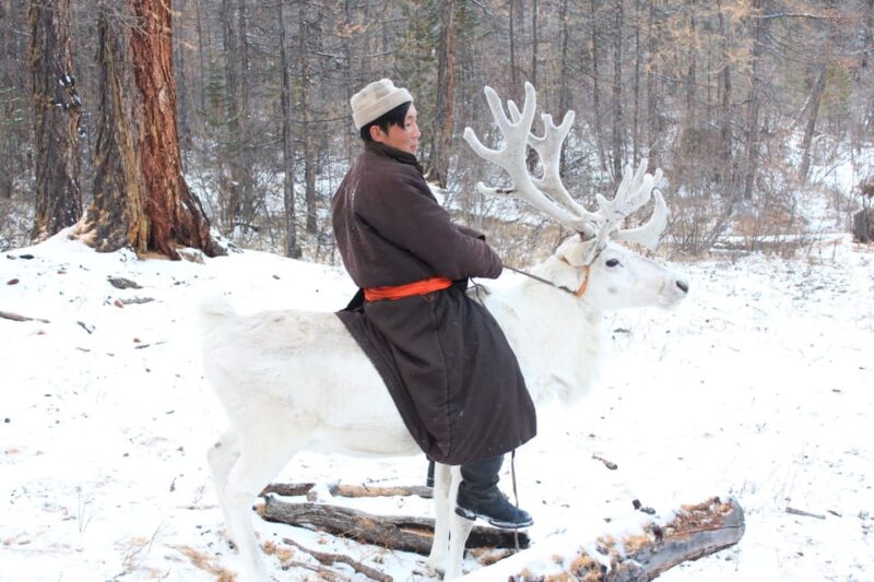 Journey to the Tsaatan Reindeer Herders Tribe of Mongolia - Included Services and Activities