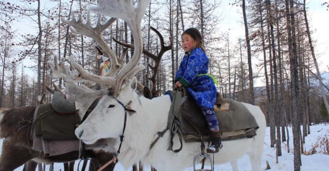 Journey to the Tsaatan Reindeer Herders Tribe of Mongolia - Important Considerations