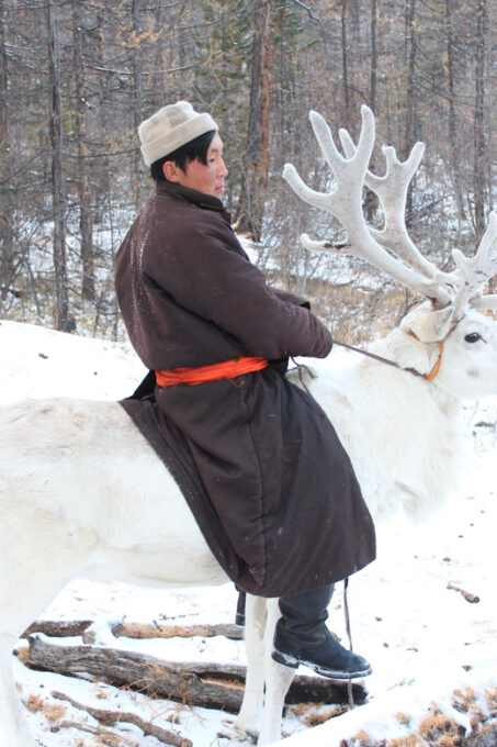 Journey to the Tsaatan Reindeer Herders Tribe of Mongolia - Frequently Asked Questions