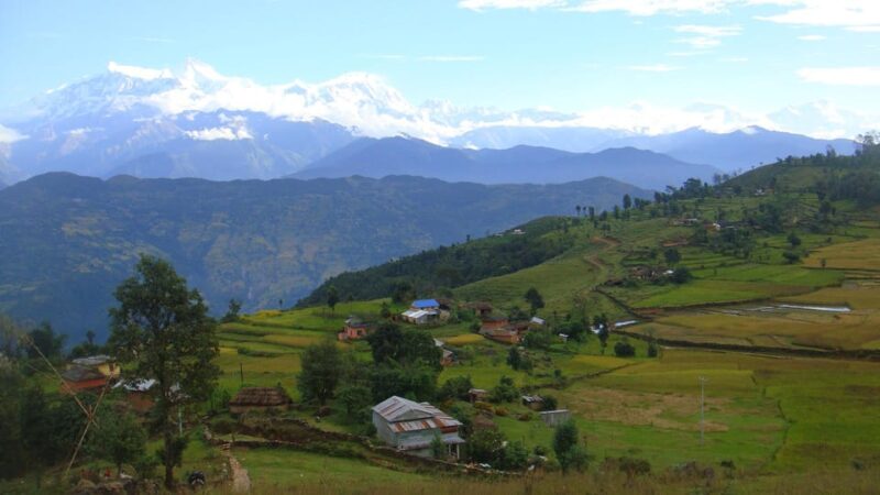 Journey to Tranquillity: 3 Days Panchase Trek From Pokhara - Trek Experience and Highlights