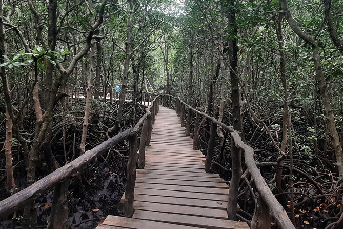 Jozani Forest, Kuza Cave, Paje Beach and The Rock Restaurant - Kuza Cave
