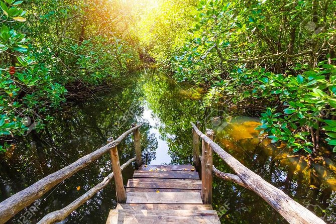 Jozani Forest Reserve Half-Day Guided Tour From Zanzibar - Jozani Forest Reserve