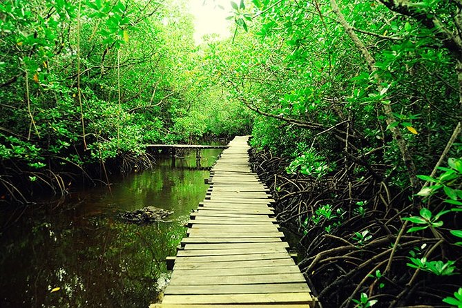 Jozani Forest Reserve Half-Day Guided Tour From Zanzibar - Additional Information