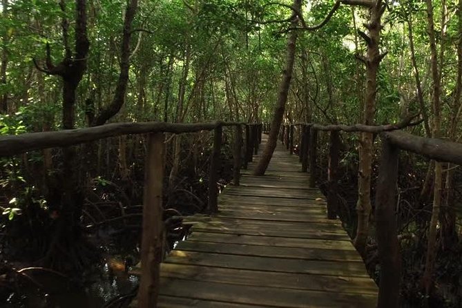 Jozani Forest Tour - Tour Duration and Accessibility
