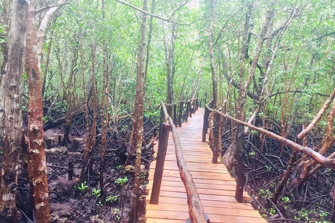 Jozani Forest Tour - Booking Your Stay