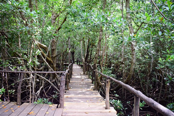 Jozani Forest Tour - Cancellation Policy