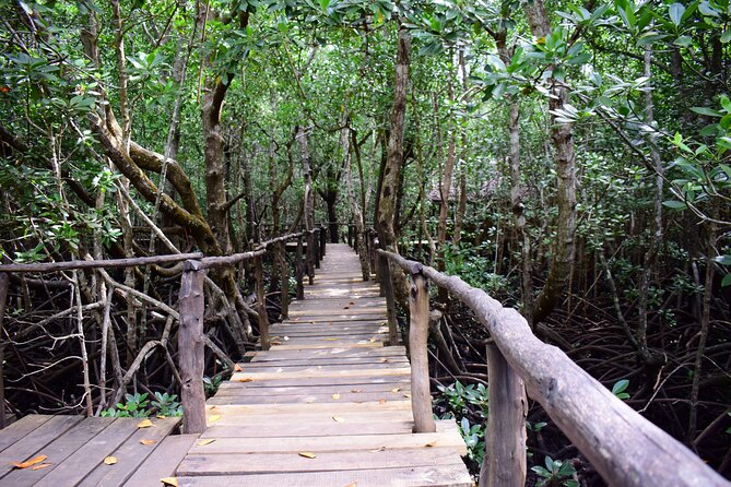 Jozani Forest Tour - Visitor Experiences