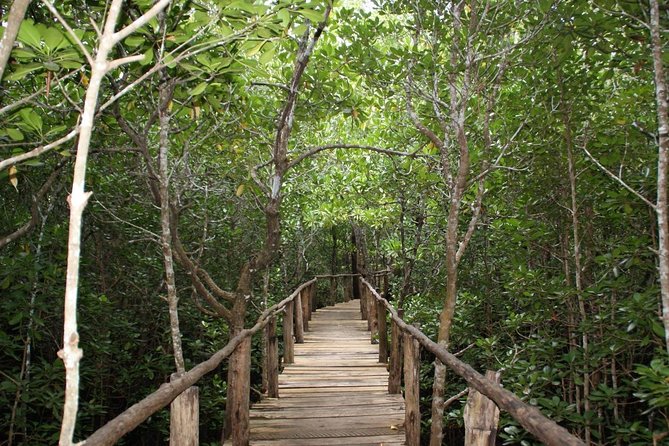 Jozani Forest Tour - Pricing and Cancellation