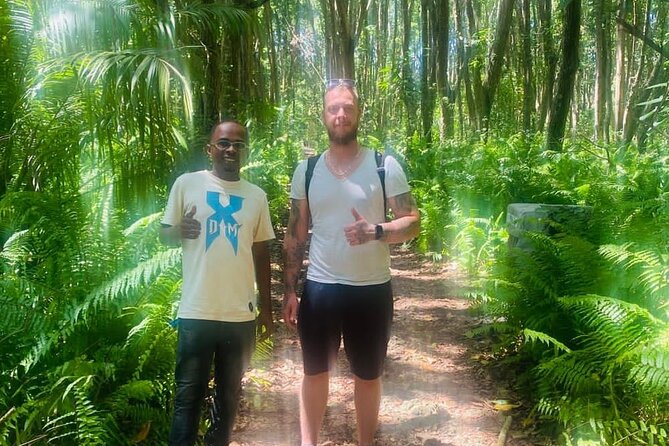 Jozani Forest Tour - Mangrove Boardwalk Experience