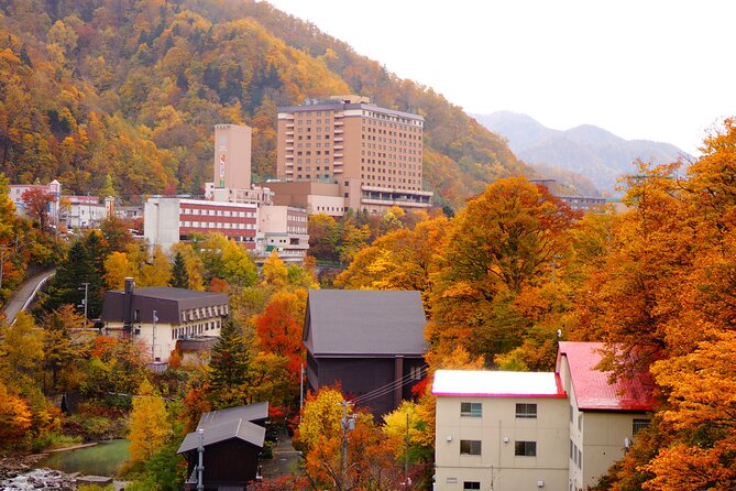 Jozankei Autumn Leaves Day Tour by Private Car - Getting the Most Out of Your Jozankei Experience