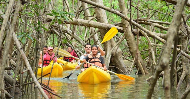 Juan Dolio: Los Haitises Guided Hike and Kayaking - Overview and Pricing